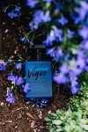 RawChemistry Vigor - Cologne con Feromonas para Hombres