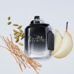 Coach Eau de Toilette para Hombre, 100 ml