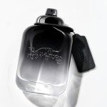 Coach Eau de Toilette para Hombre, 100 ml