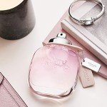 Eau de Parfum Coach Signature 3.0oz Spray