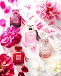 Set de regalo Bombshell de Victoria's Secret