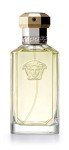 Versace The Dreamer 100ml Eau de Toilette