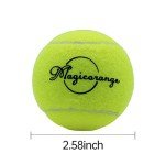 Magicorange 12 Pack Training Tennis Balls with Bag