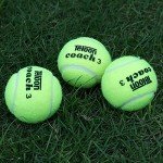 Teloon 12-Pack Regular Tennis Balls