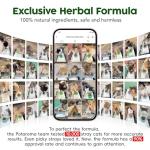 Cat Energy Balls & Toys Set – Green Interactive Play Kit