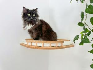 Wall-mounted Cat Furniture & Shelves