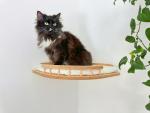 Wall-mounted Cat Furniture & Shelves