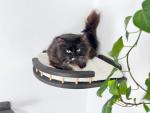 Wall-mounted Cat Furniture & Shelves
