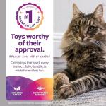 SmartyKat Catnip Kiss Compressed Ball Toy