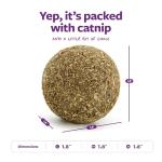 SmartyKat Catnip Kiss Compressed Ball Toy