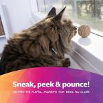 SmartyKat Catnip Kiss Compressed Ball Toy