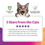 SmartyKat Catnip Kiss Compressed Ball Toy