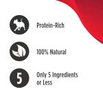 Nulo Freestyle Grain-Free Cat & Kitten Pouch