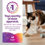 Set of 3 Catnip Mice Toys