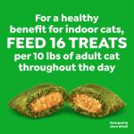 Indoor Tuna Treats for Cats