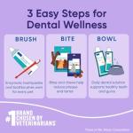 Intellident Cat Bites Dental Treats - Chicken (90ct)