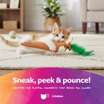 SmartyKat Kolossal Karrot Plush Catnip Toy