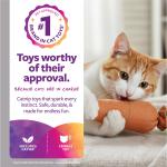 SmartyKat Kolossal Karrot Plush Catnip Toy