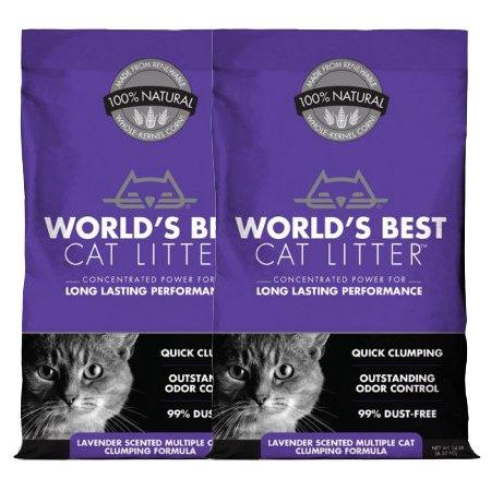 Cat Litter and Accessories