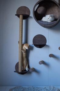 Cat Scratcher Tree & Shelf combo