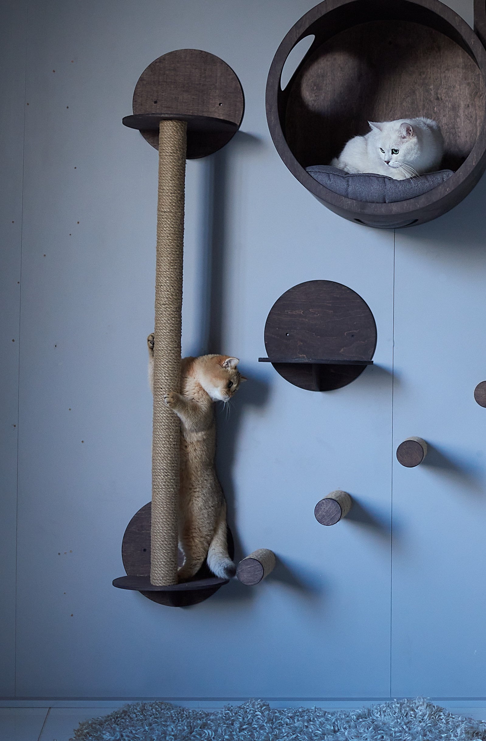 Cat Scratcher Tree & Shelf combo