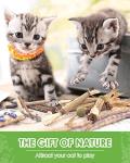 Catnip Chew Toys - 12 Natural Silvervine Sticks