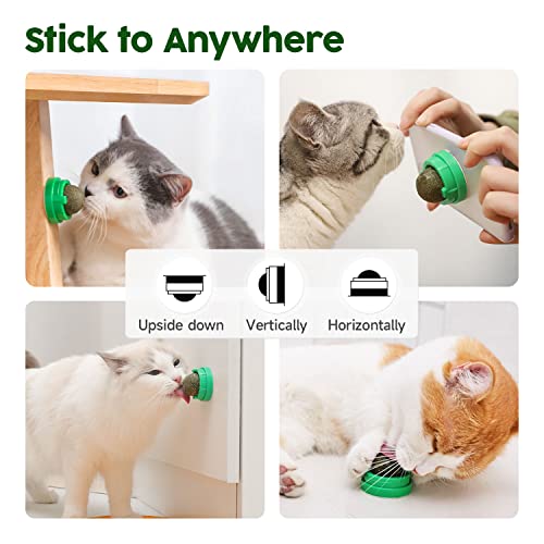 Cat Energy Balls and Toys Set (Green)