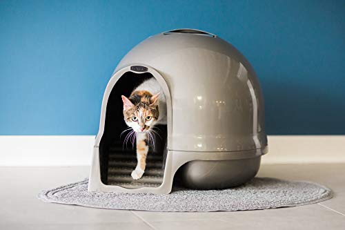 Booda Clean Step Cat Litter Box Dome - Pearl White