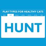 Vibrant Life Catnip Bandit Cat Toy, 3 Pieces