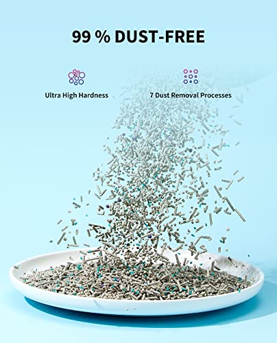 5-in-1 Cat Litter with Odor Control and Flushable Formula