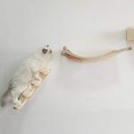 Wall-mounted Cat Climbing Shelf with Sisal Bridge