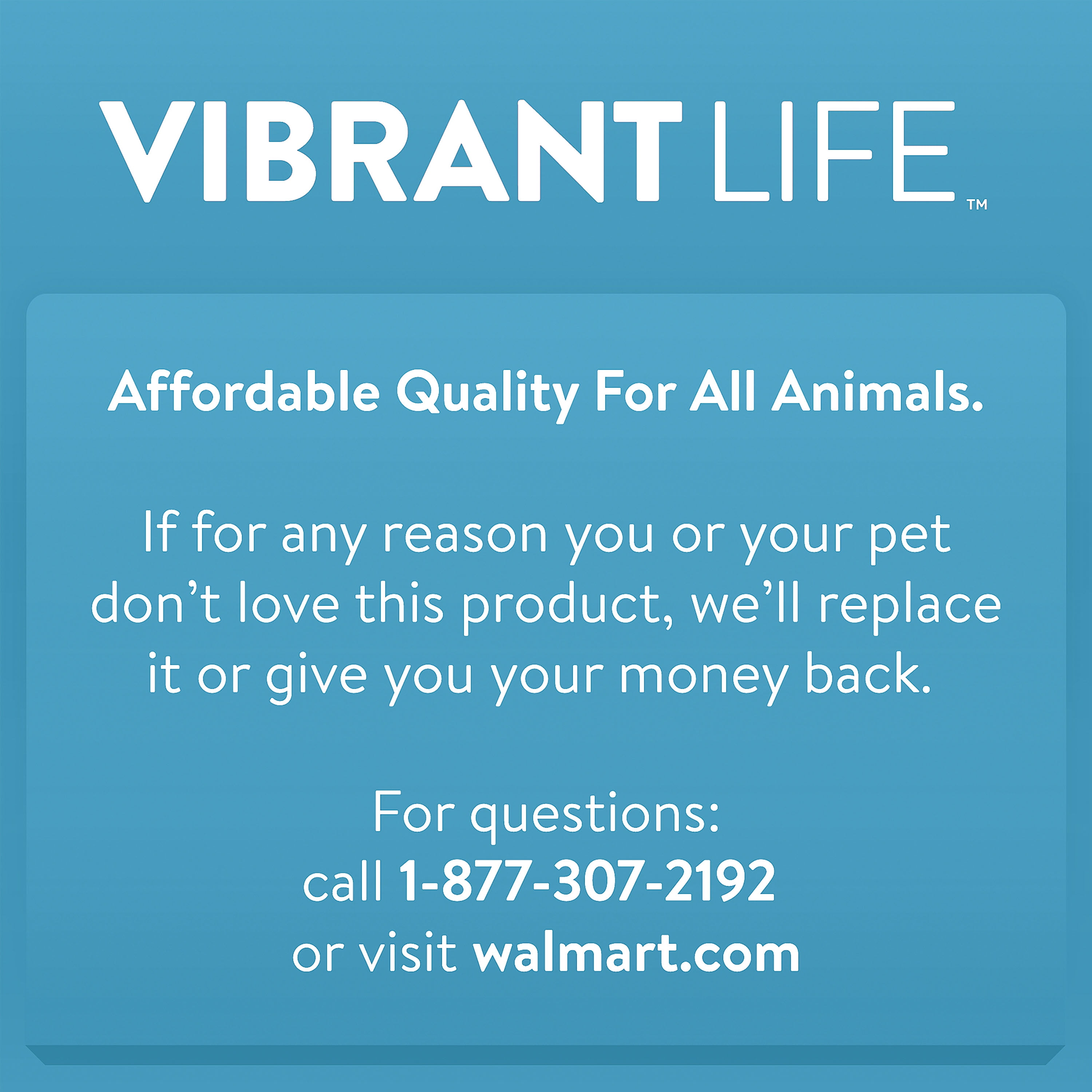 Vibrant Life Catnip Bandit Cat Toy, 3 Pieces