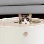 IRIS USA Large Round Entry Cat Litter Box