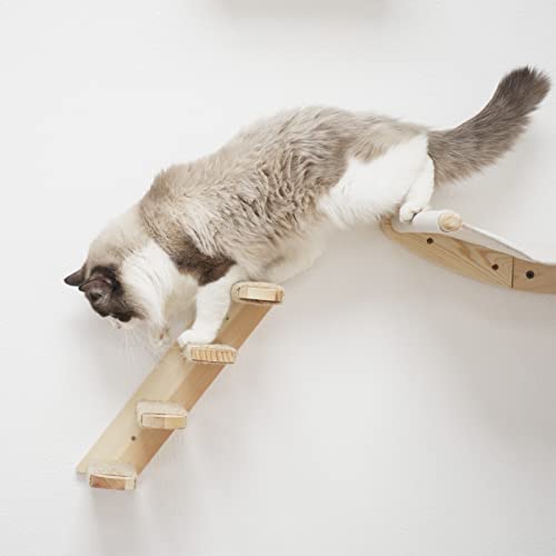 Wall-mounted Cat Climbing Shelf with Sisal Bridge