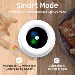 Interactive 2in1 Cat Toy with Timer and Feathers