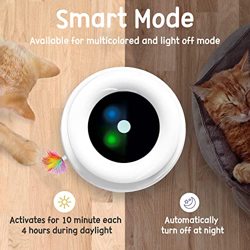 Interactive 2in1 Cat Toy with Timer and Feathers