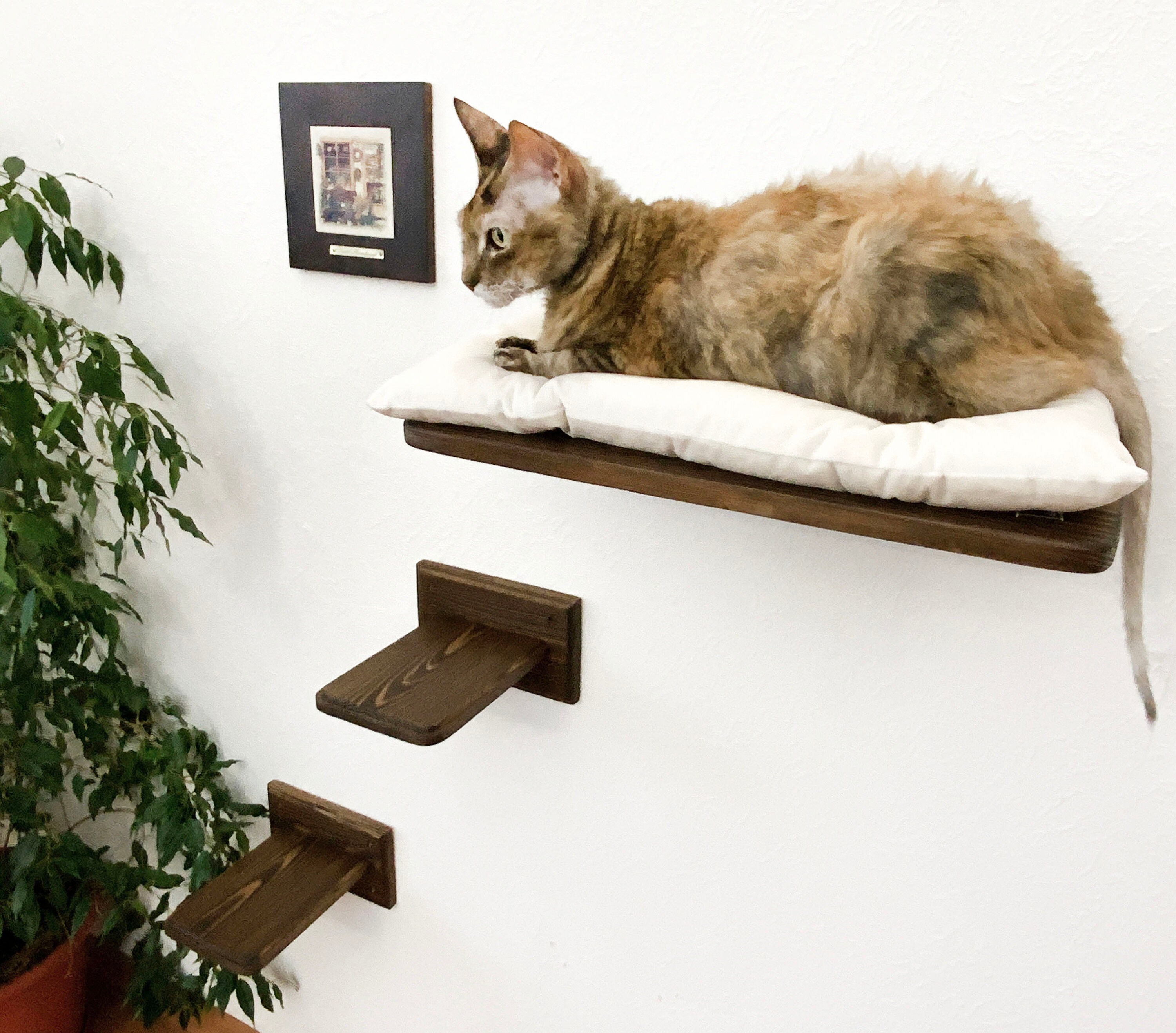 Climbing, shelves, pole & bed for cats