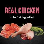 CRAVE Indoor High-Protein Natural Cat Food, 10 lb