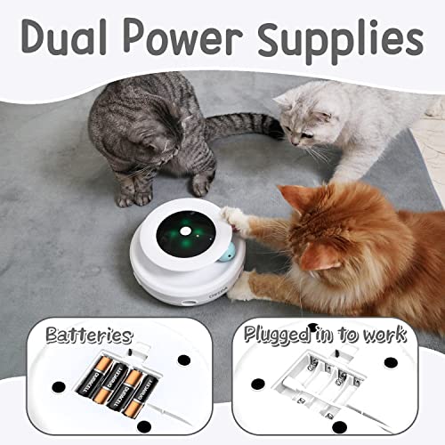 Interactive 2in1 Cat Toy with Timer and Feathers