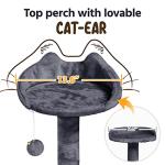Kitten play station for cats
