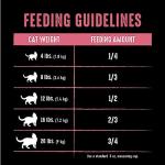 CRAVE Indoor High-Protein Natural Cat Food, 10 lb