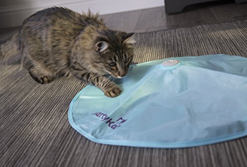 SmartyKat Hot Pursuit Cat Toy - Electronic Blue