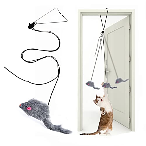 Interactive Hanging Feather Cat Toy for Exercise