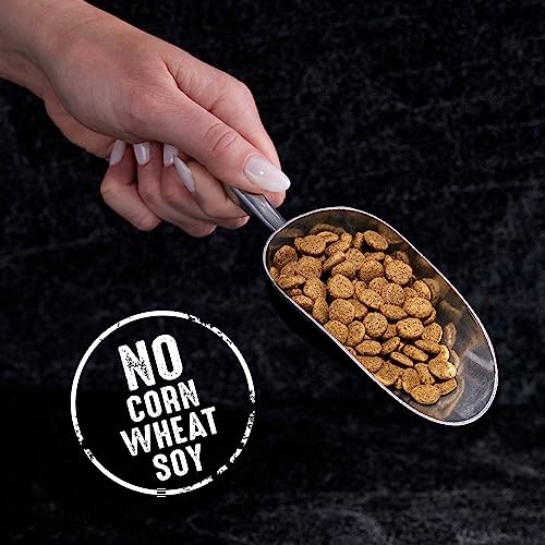 CRAVE Indoor High-Protein Natural Cat Food, 10 lb