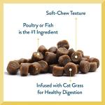 Salmon Cat Treats 3 oz