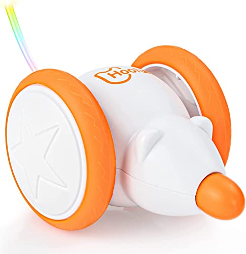 Interactive LED Cat Toy with Motion Wheel