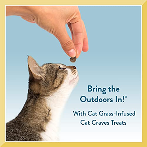 Salmon Cat Treats 3 oz