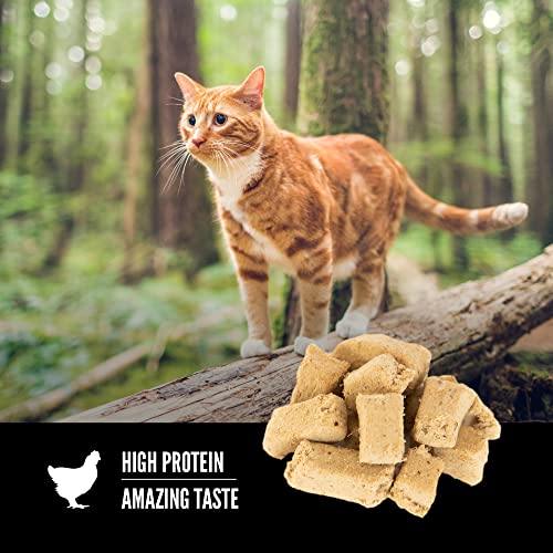 Orijen Freeze-Dried Cat Treat - Original - 35g