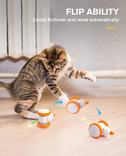 Interactive LED Cat Toy with Motion Wheel