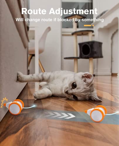 Interactive LED Cat Toy with Motion Wheel